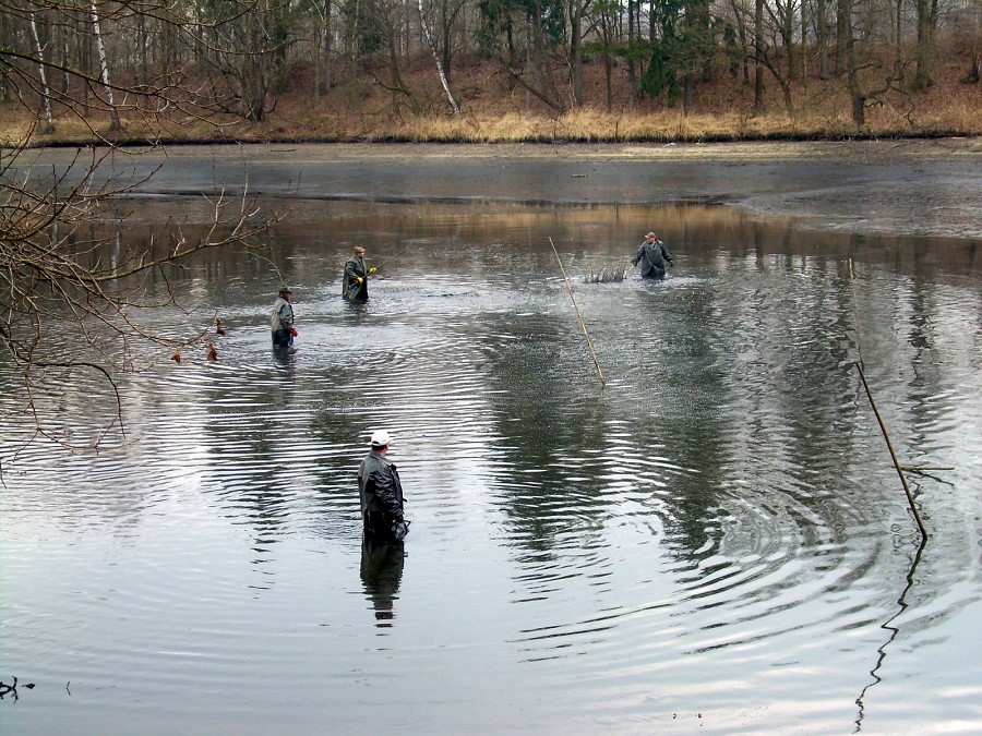 Malikovska 26.3.2011.