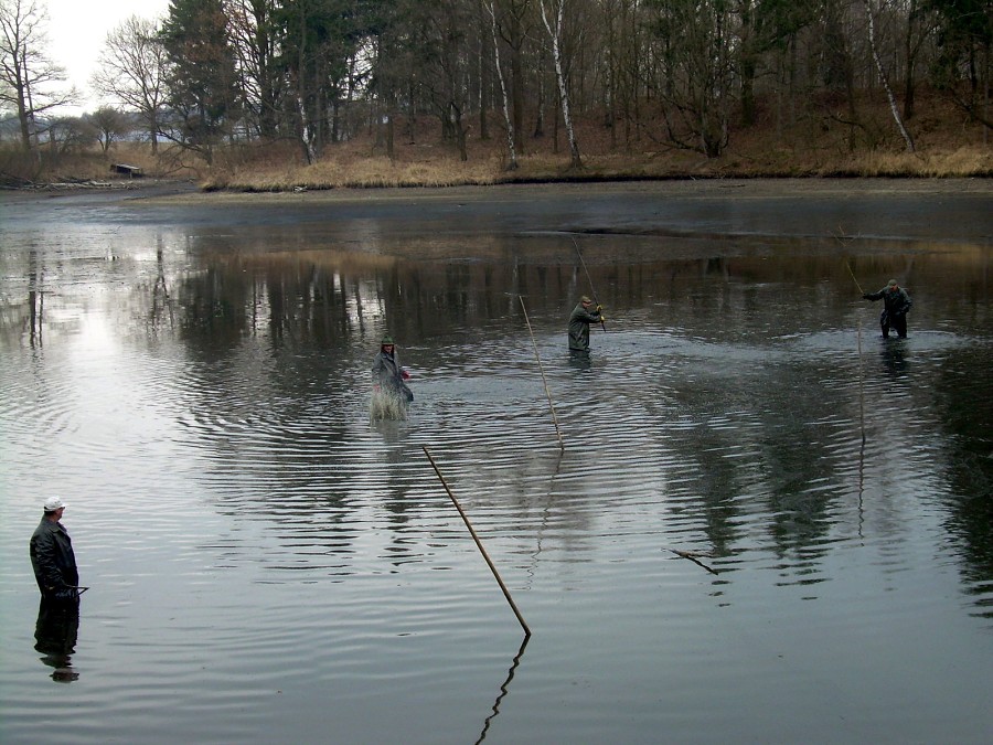 Malikovska 26.3.2011.