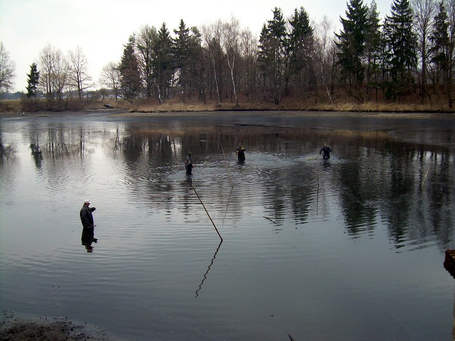 Malikovska 26.3.2011.