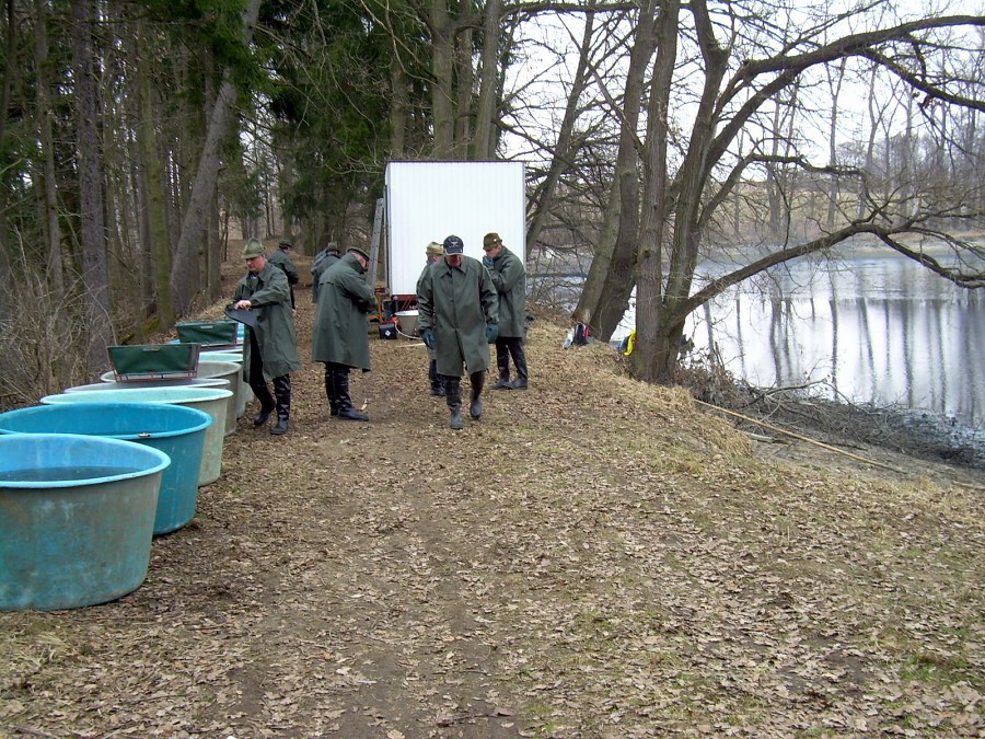 Malikovska 26.3.2011.