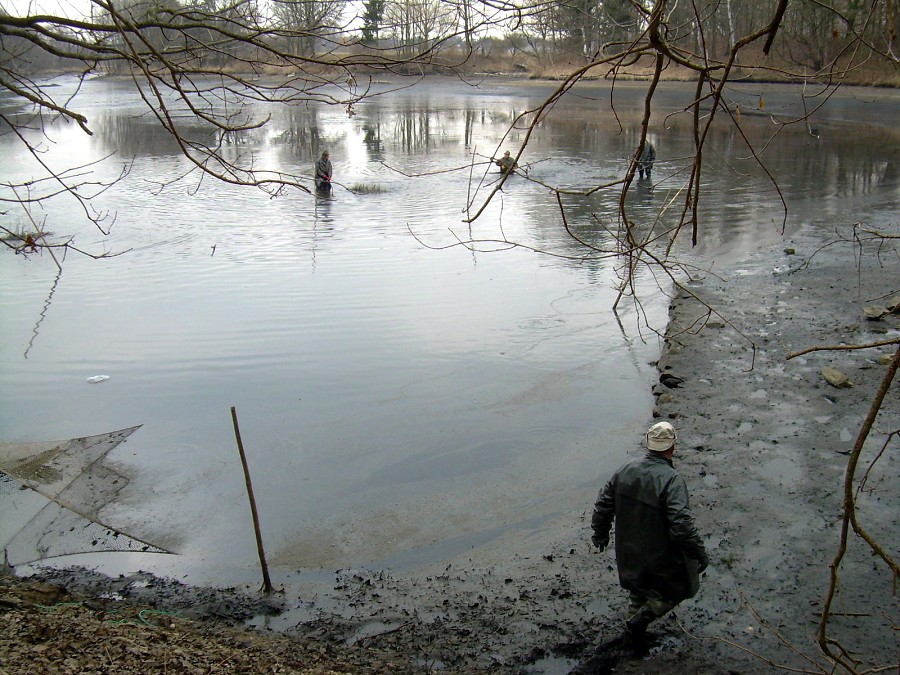 Malikovska 26.3.2011.