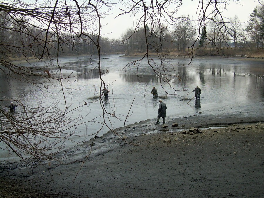 Malikovska 26.3.2011.