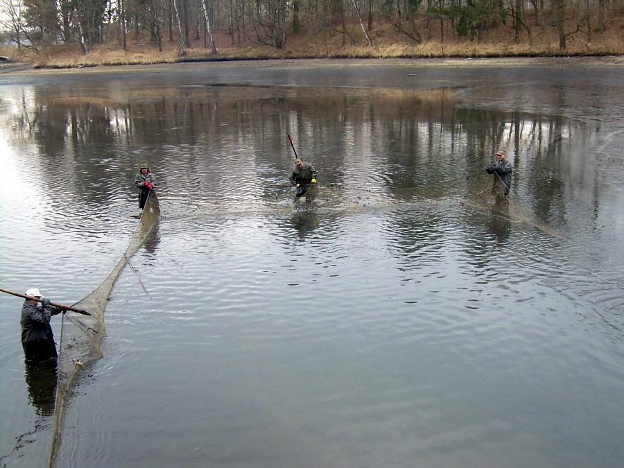 Malikovska 26.3.2011.