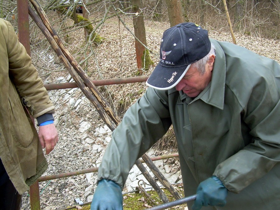 Malikovska 26.3.2011.