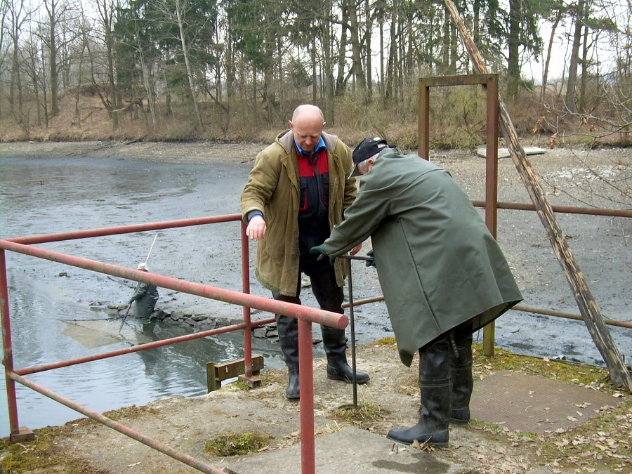 Malikovska 26.3.2011.