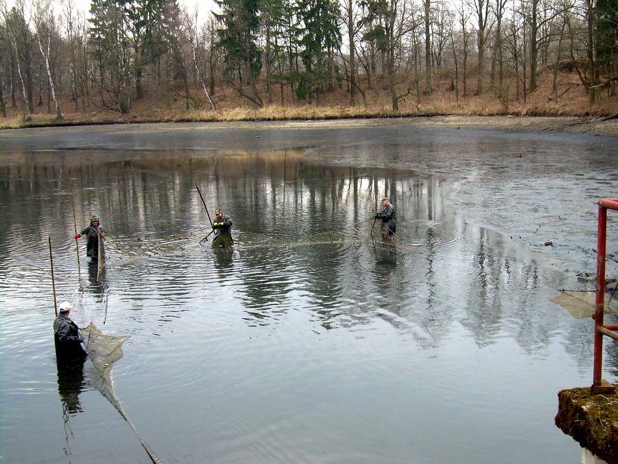 Malikovska 26.3.2011.