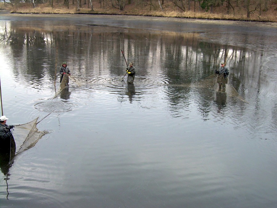 Malikovska 26.3.2011.