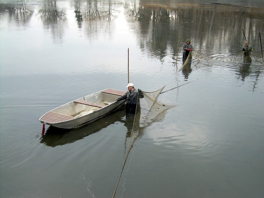 Malikovska 26.3.2011.