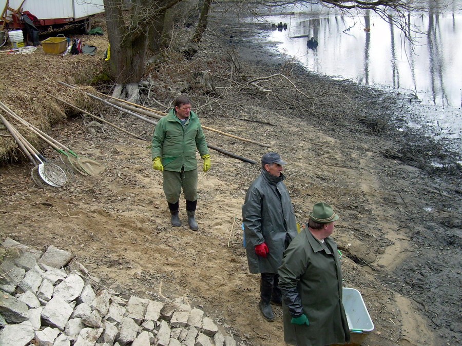 Malikovska 26.3.2011.