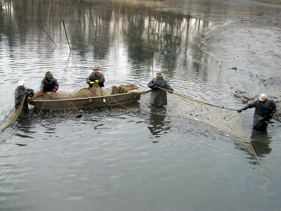 Malikovska 26.3.2011.