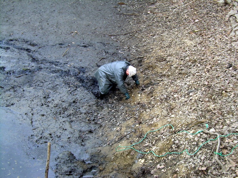 Malikovska 26.3.2011.