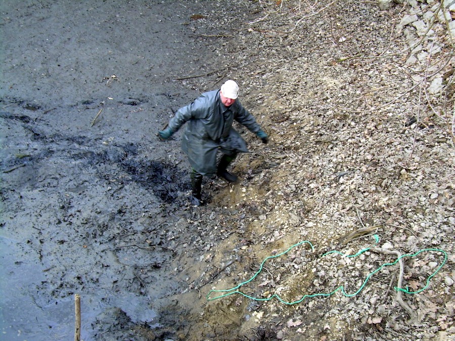 Malikovska 26.3.2011.