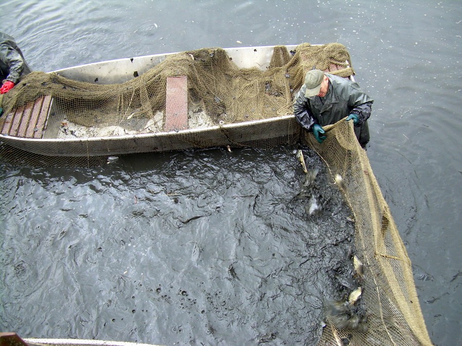 Malikovska 26.3.2011.