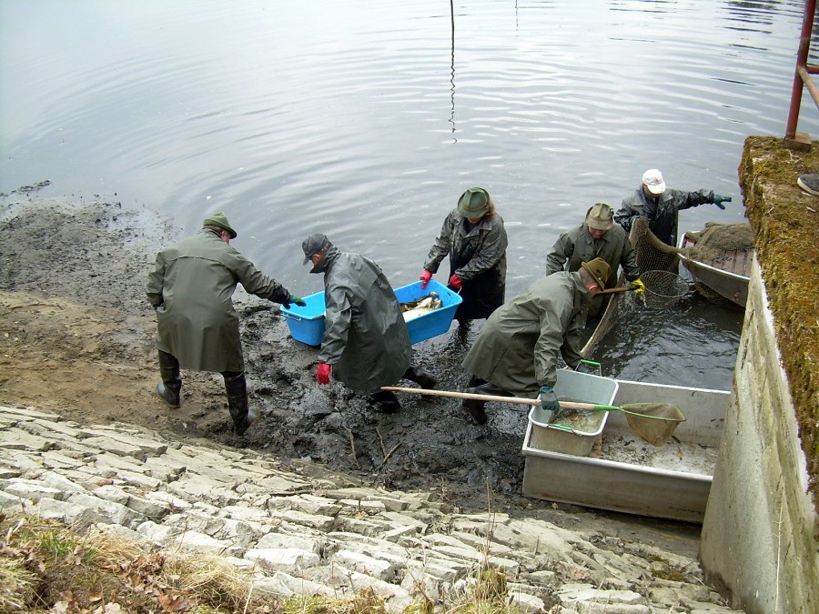 Malikovska 26.3.2011.