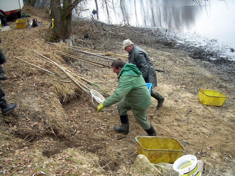 Malikovska 26.3.2011.