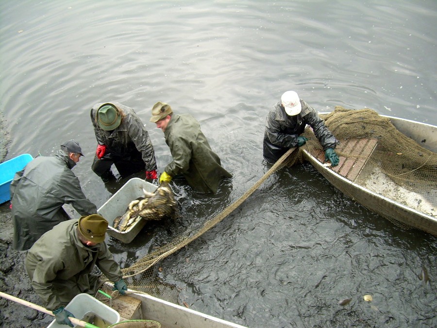 Malikovska 26.3.2011.