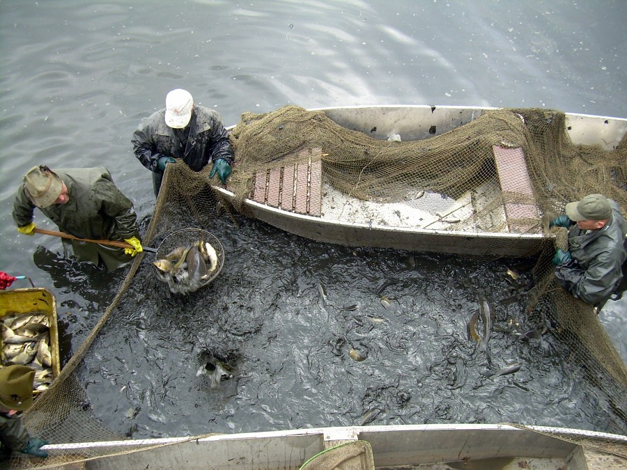 Malikovska 26.3.2011.