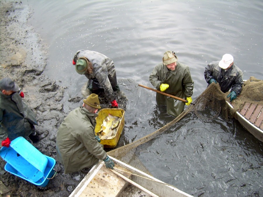 Malikovska 26.3.2011.