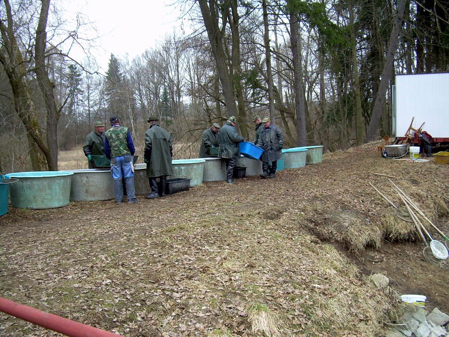 Malikovska 26.3.2011.