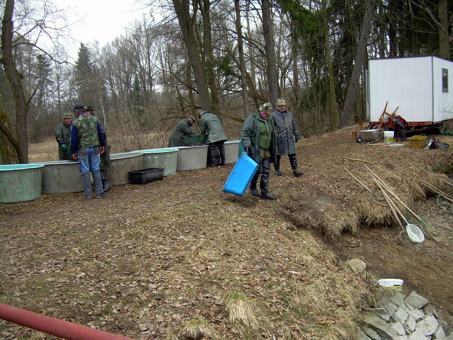 Malikovska 26.3.2011.