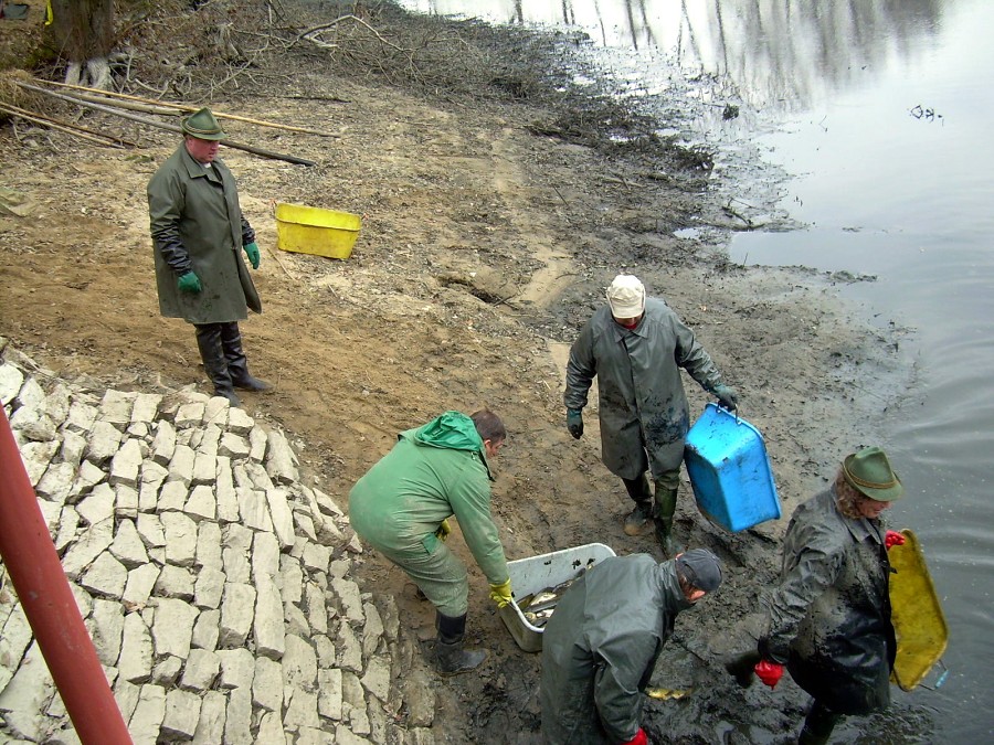 Malikovska 26.3.2011.