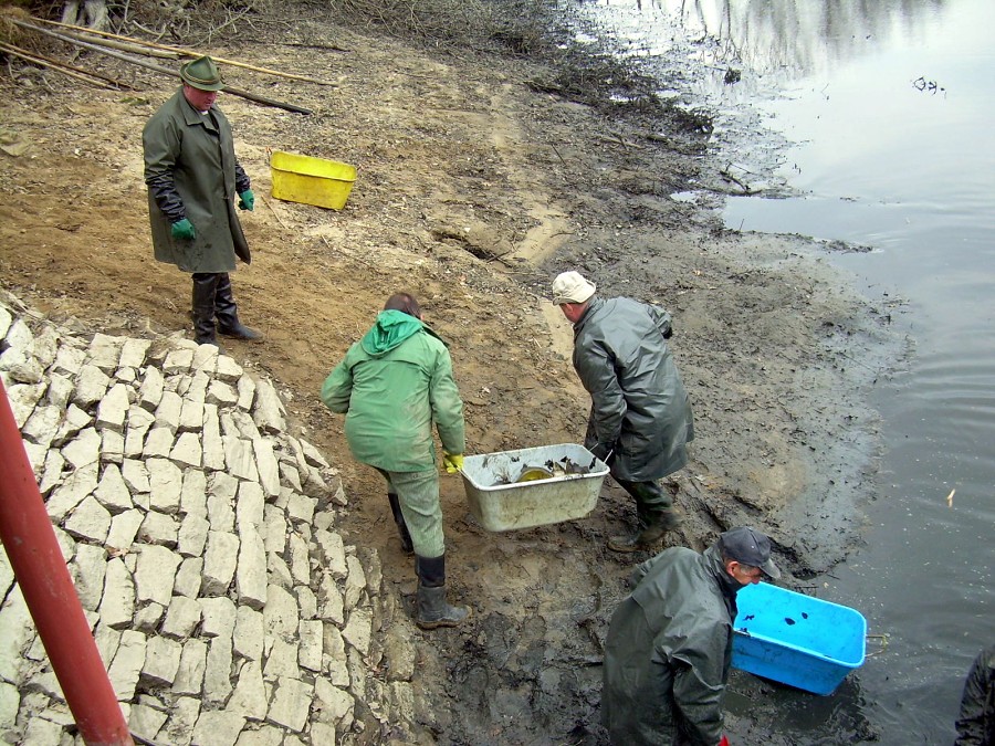 Malikovska 26.3.2011.