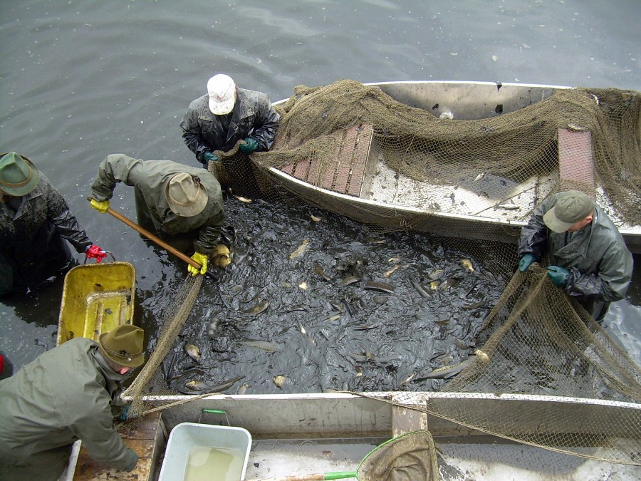 Malikovska 26.3.2011.