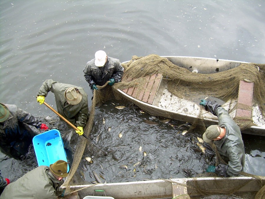 Malikovska 26.3.2011.