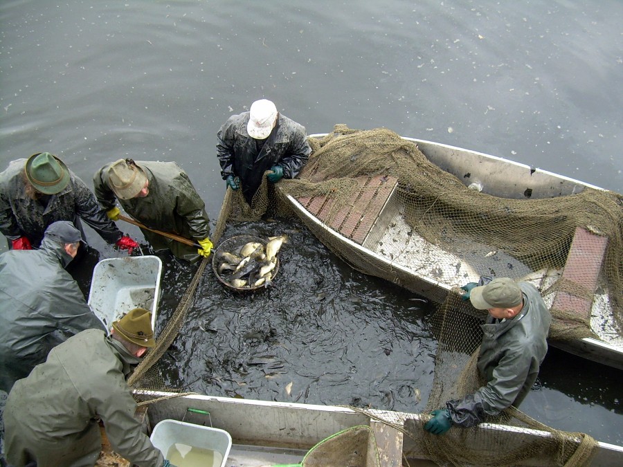 Malikovska 26.3.2011.