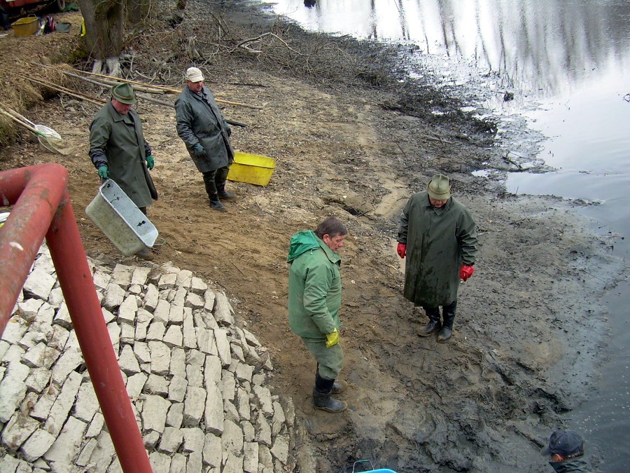 Malikovska 26.3.2011.