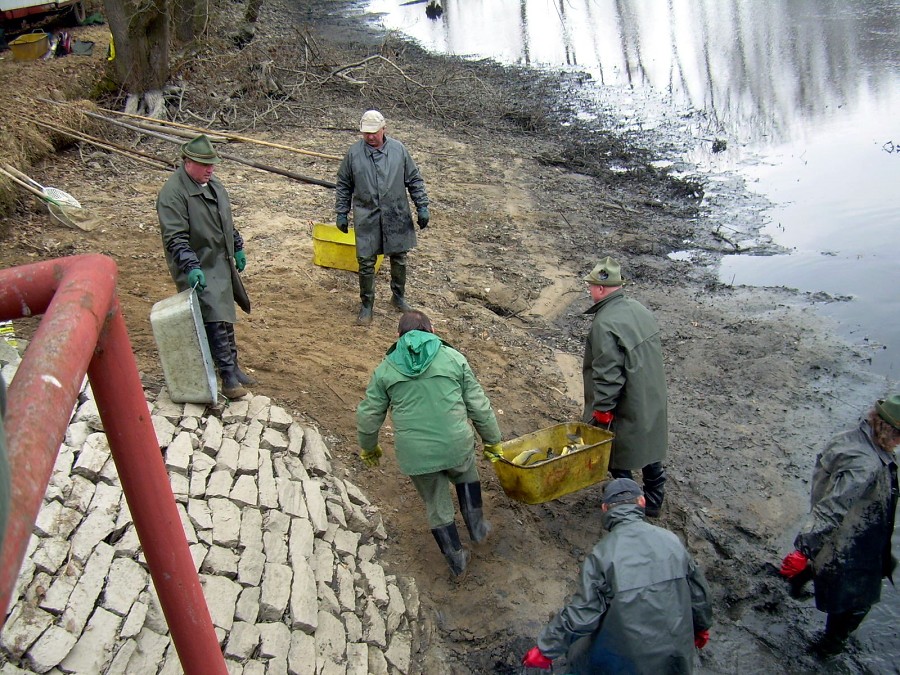 Malikovska 26.3.2011.