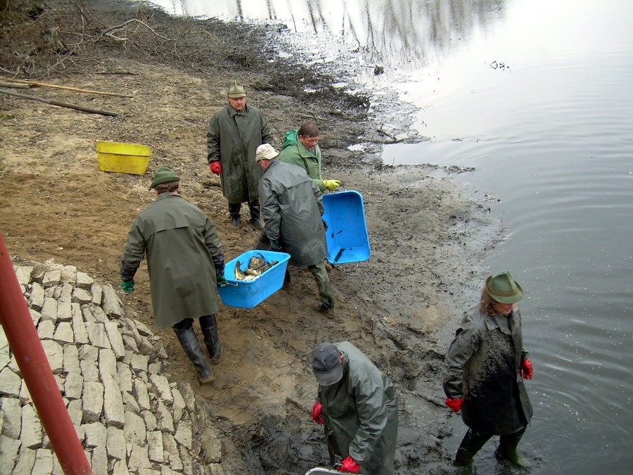 Malikovska 26.3.2011.
