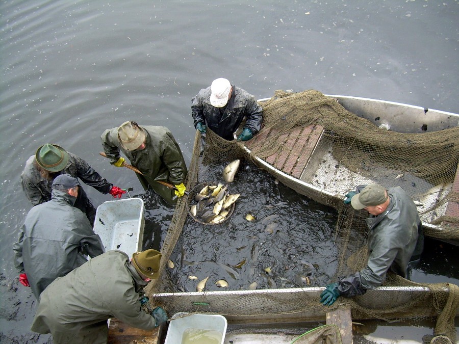 Malikovska 26.3.2011.