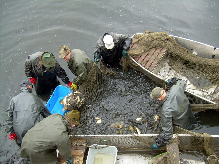 Malikovska 26.3.2011.