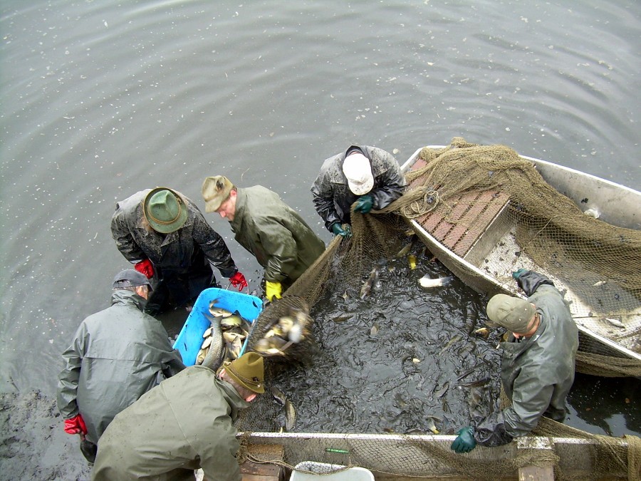 Malikovska 26.3.2011.