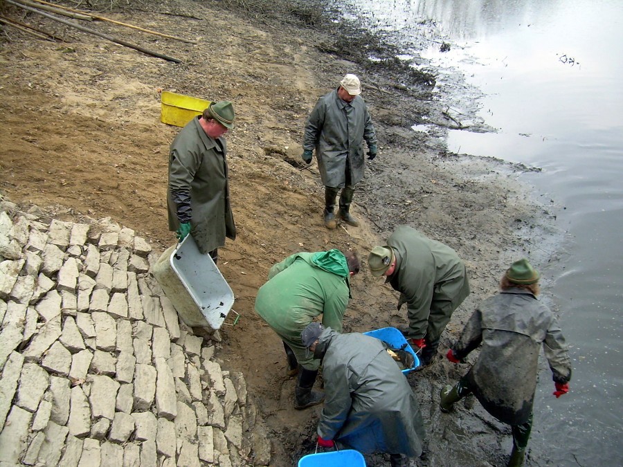 Malikovska 26.3.2011.