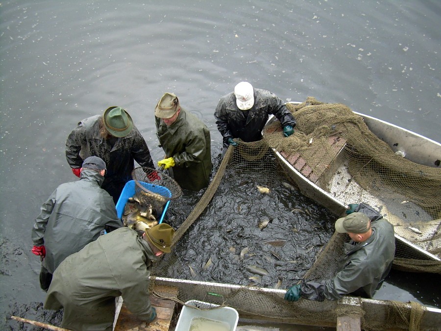 Malikovska 26.3.2011.
