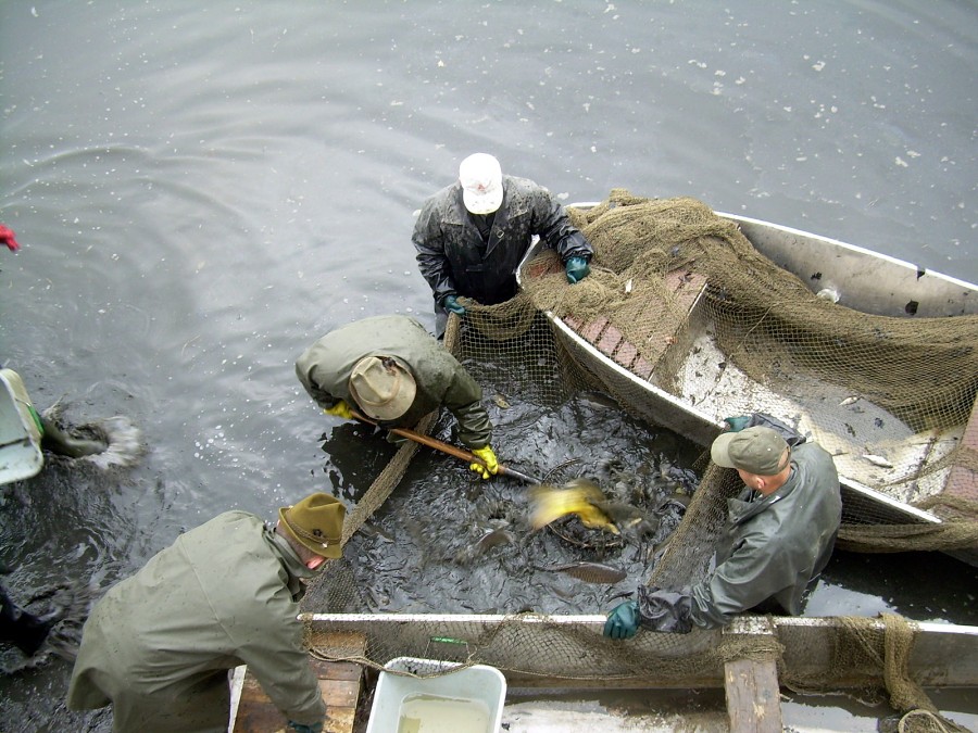 Malikovska 26.3.2011.