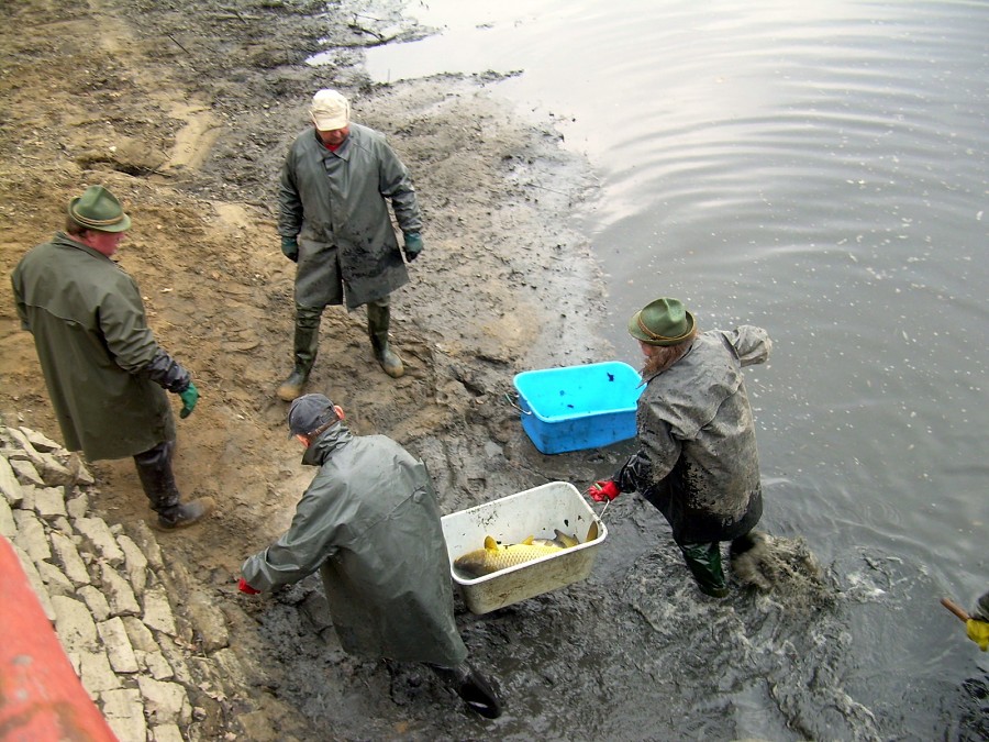 Malikovska 26.3.2011.