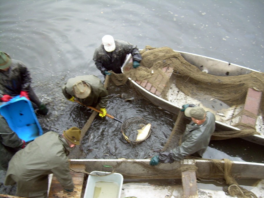 Malikovska 26.3.2011.