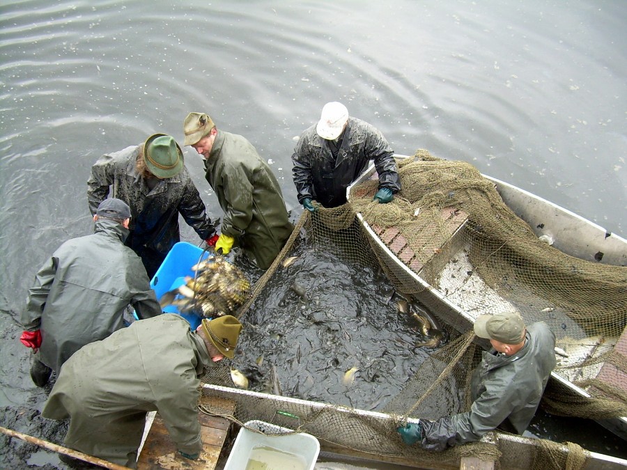 Malikovska 26.3.2011.