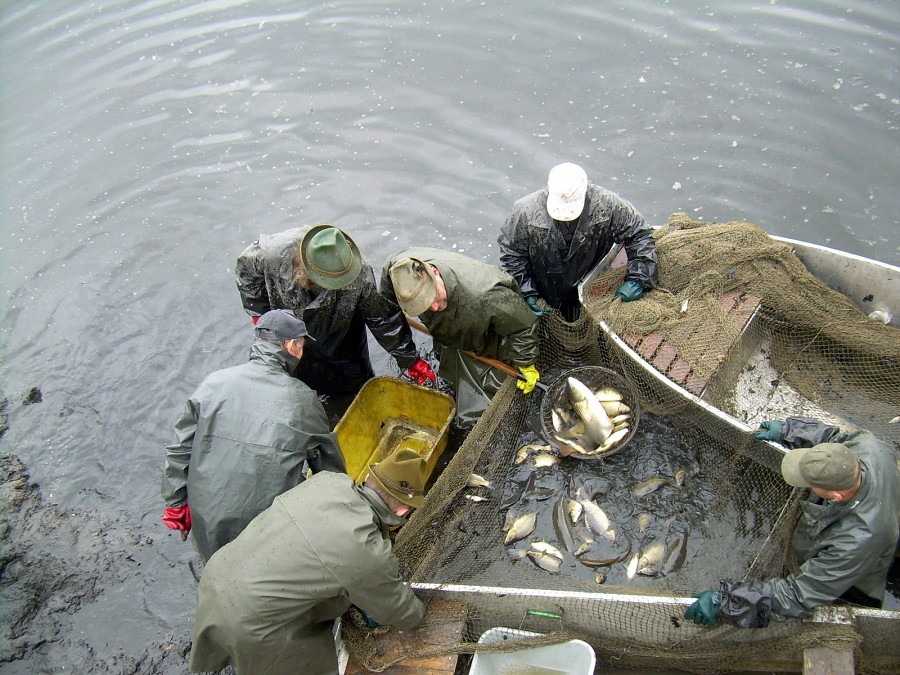 Malikovska 26.3.2011.