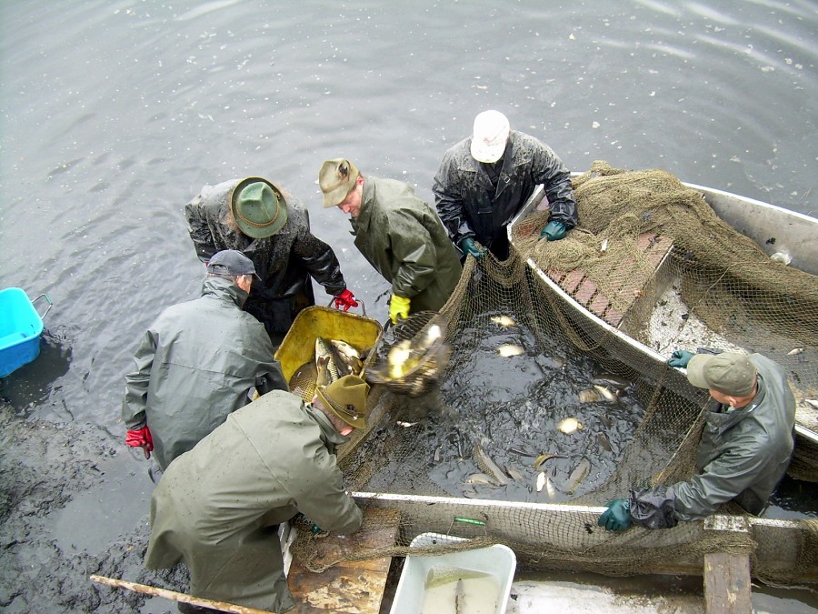 Malikovska 26.3.2011.