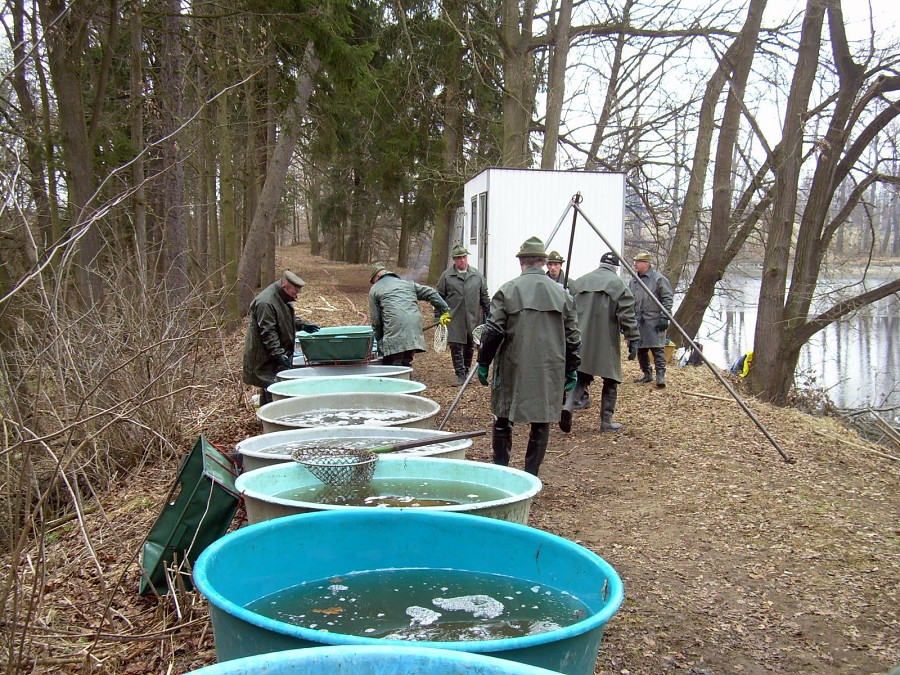 Malikovska 26.3.2011.