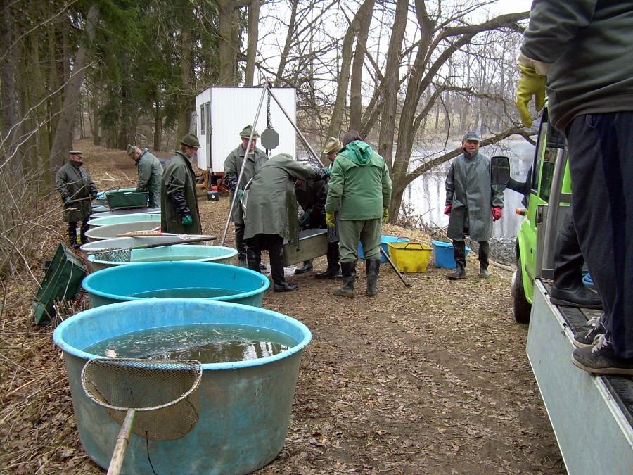 Malikovska 26.3.2011.