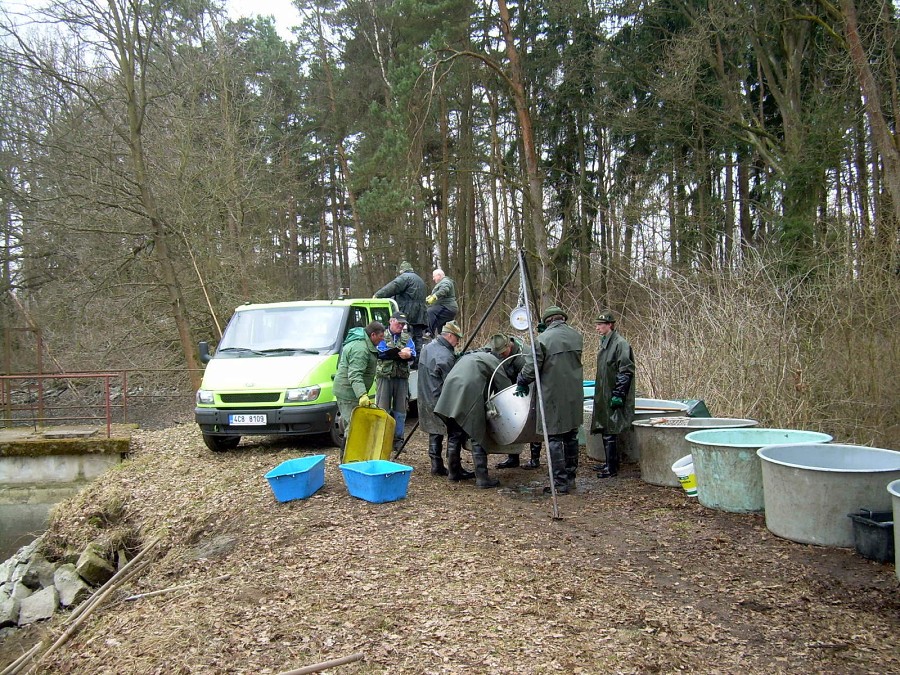 Malikovska 26.3.2011.