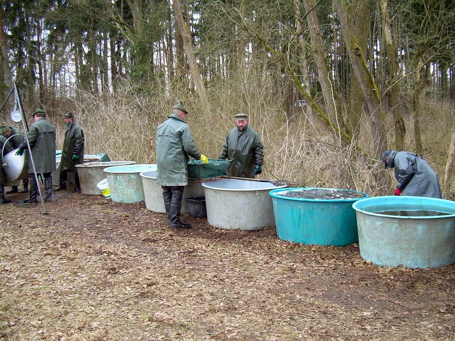 Malikovska 26.3.2011.