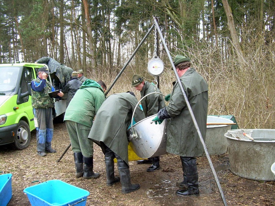 Malikovska 26.3.2011.