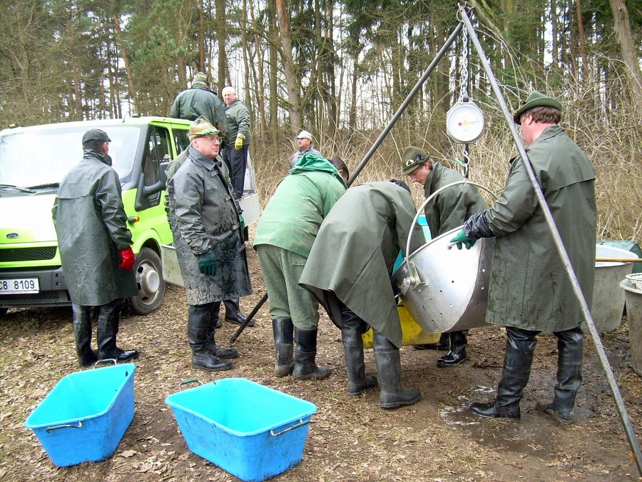 Malikovska 26.3.2011.