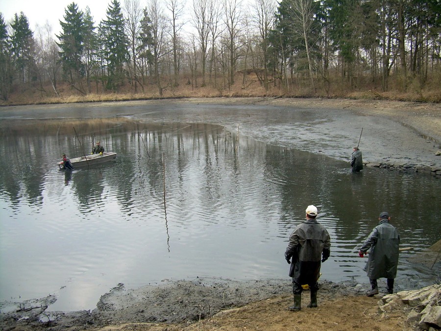 Malikovska 26.3.2011.